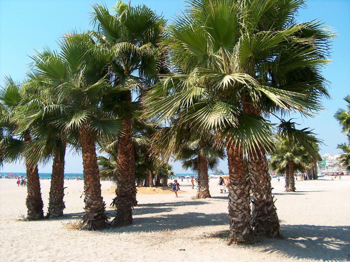 Central Almunecar, Beach Playa 125 Metres, By Old Town Ngoại thất bức ảnh